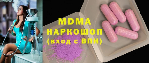 гашик Алексин