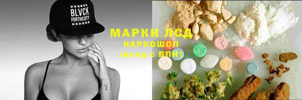 гашик Алексин