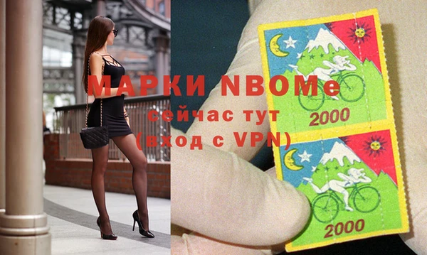 гашик Алексин