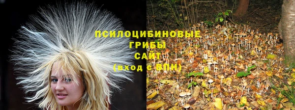трава Алексеевка