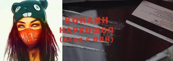 гашик Алексин