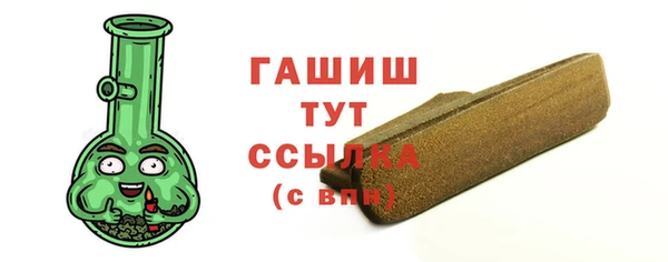 гашик Алексин